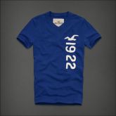 Camisa Hollister Azul Gola Em V